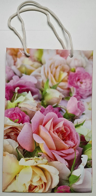 Бумажный пакет подарочный Средний 17/26/8 (артSV-099) (12 шт) Харьков - изображение 5