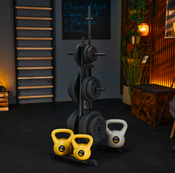 Стійка для дисків та грифів Trex Sport TX-065WR з полицями Киев