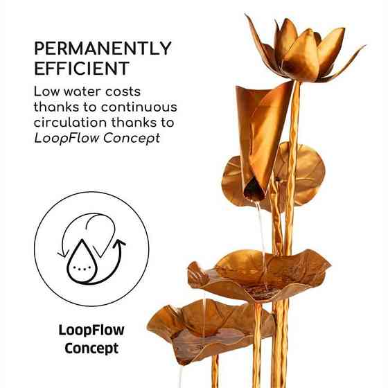 Насос для фонтана Golden Orchid Garden с латунной отделкой 5W IPX8 для помещений и улицы (Германия, читать Ровно