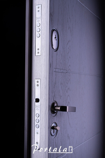 Двери квартирные, серия Премиум, модельТокио 2, гнутый профиль, коробка 150 мм, полотно 105мм,  KALE257 Киев - изображение 3