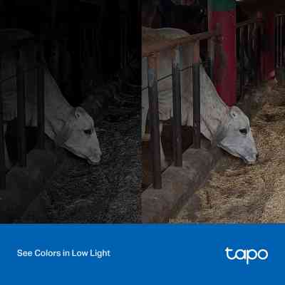 Камера відеоспостереження TP-Link TAPO-C320WS Вінниця