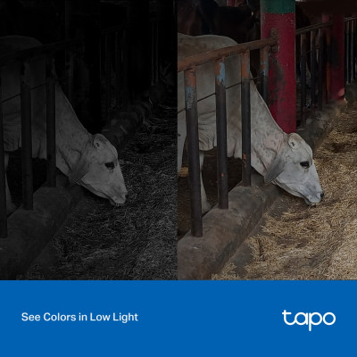 Камера відеоспостереження TP-Link TAPO-C320WS Вінниця - фото 3