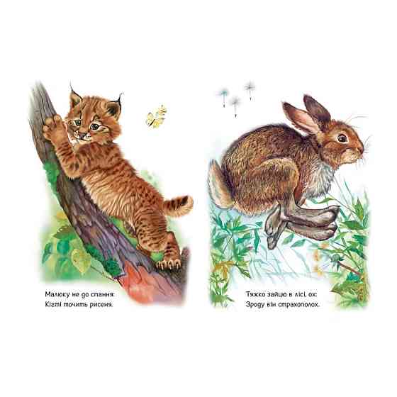 Малышам о зверятах 