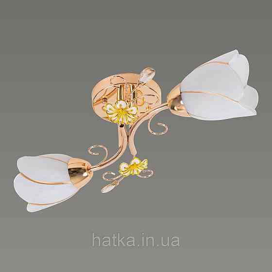 Люстра Sirius B N0282/2 (на 2 плафони) Київ