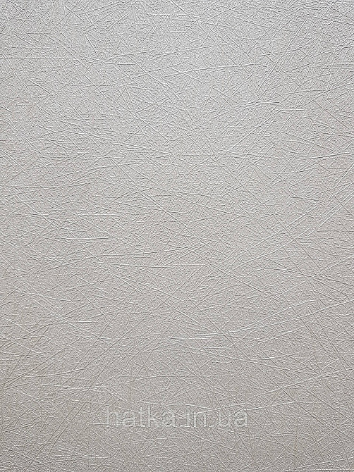 Шпалери метрові вінілові на флізеліні A.S.Creation Flowers Symphony1.06x10 смужки павутинка бежевий перламутр Київ - фото 2