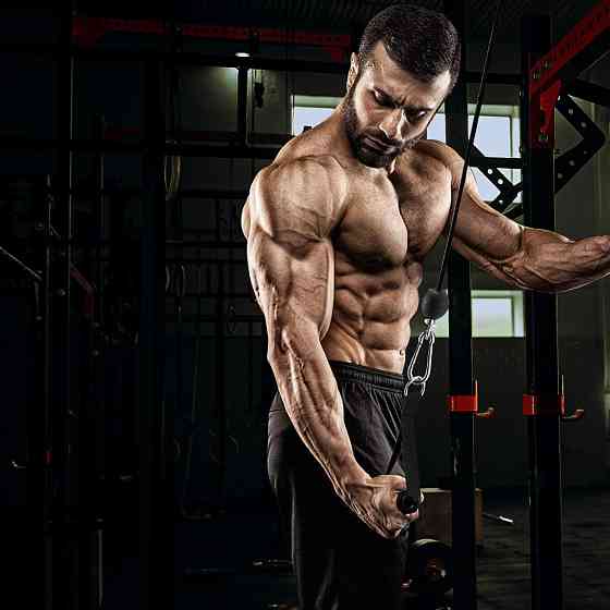 Підвісне колесо для вправ inSPORTline Puley 100 Київ