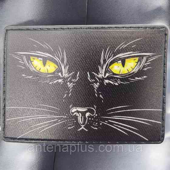 Котенок патч / шеврон Киев