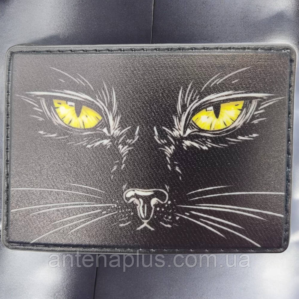 Котенок патч / шеврон Киев - изображение 1