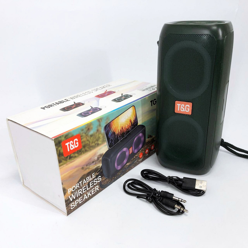 Колонка для домашньої вечірки TG333, Колонка портативна акумуляторна для вечірок на дачі DW-67 Львів - фото 6