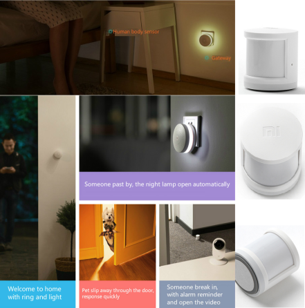 Датчик руху Xiaomi Mi Smart Home Move Detector RTCGQ01LM Луцк