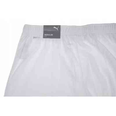 Шорты Puma teamRISE Short 704942-03 білий XL (4063699209075) Винница