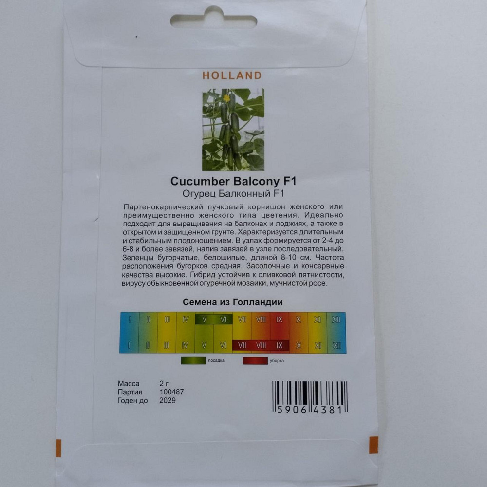 Огірок "Балконний F1" 2 гр Харків - фото 2