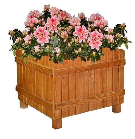 Кашпо "Люпин" мускат Миколаїв - фото 1