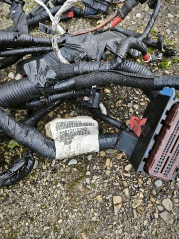 68104102AB Проводка двигателя Journey12-. 3.6l Коломыя - изображение 3