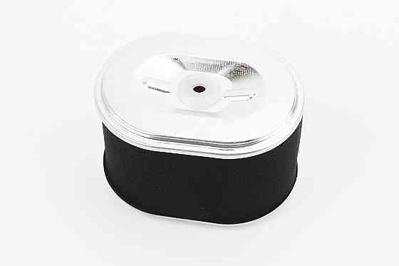 Фільтр повітряний - елемент (паперовий 100х72х68mm) 168F/170F Киев