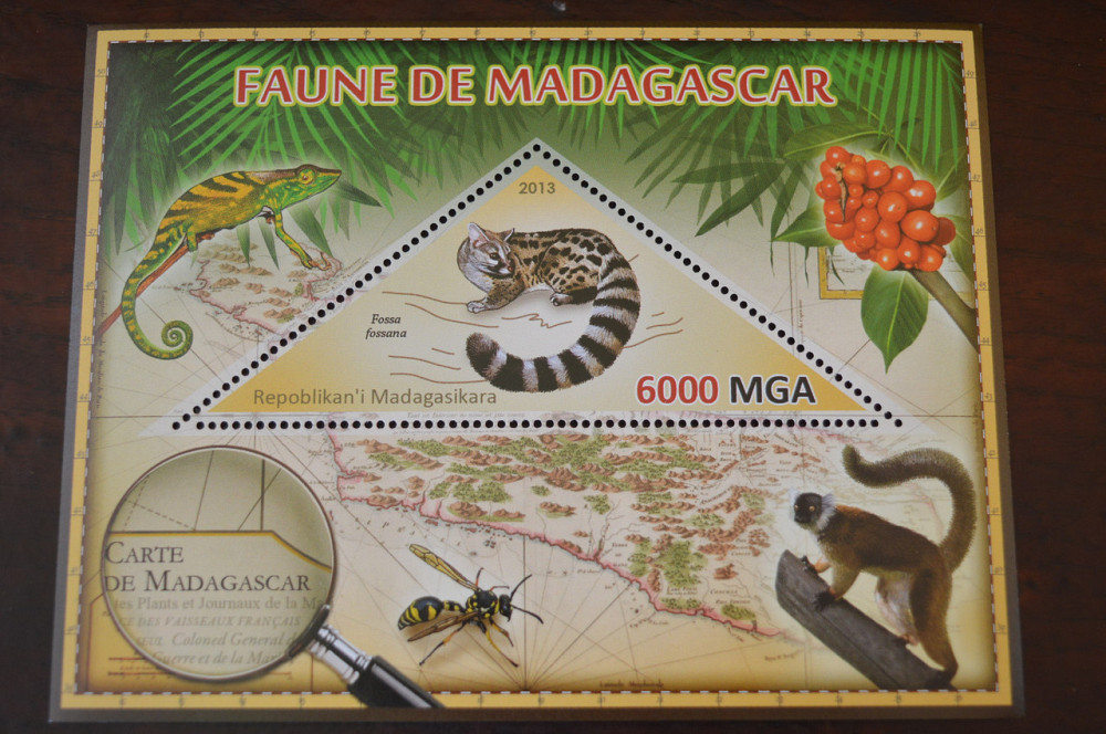 Мадагаскар. Фауна. Личности. Блок. 2014 р. (А-34) Полтава - фото 1