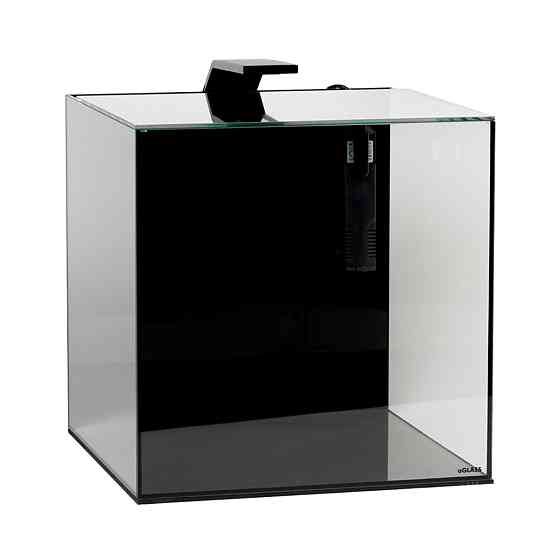 Акваріумний набір BlackCube 30 літрів, з чорною задньою стінкою, 31х31х31 см, скло 4 мм Київ