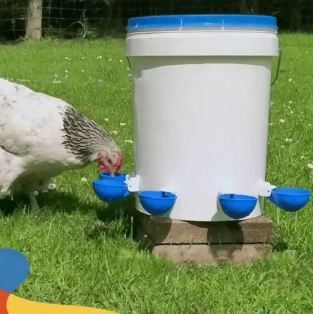 Автоматическая капельная поилка для кур 5 шт Коломия