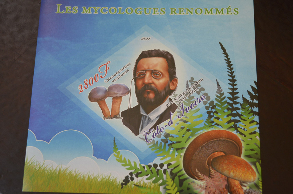 Марки. Особистості. Блок. 2011 рік (А-15) Полтава - фото 1