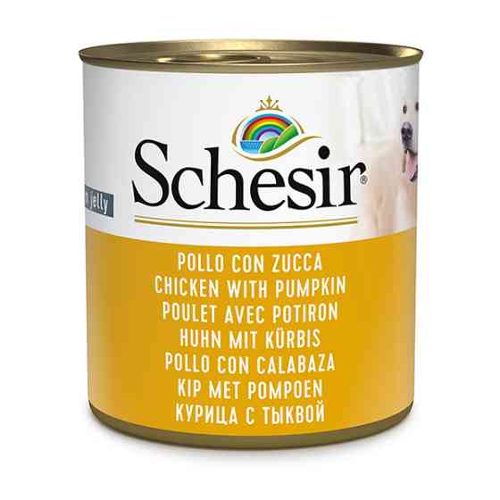 Schesir Chicken With Pumpkin ШЕЗИР КУРИЦА С ТЫКВОЙ в желе натуральные консервы для собак, влажный корм, банка 285г Киев