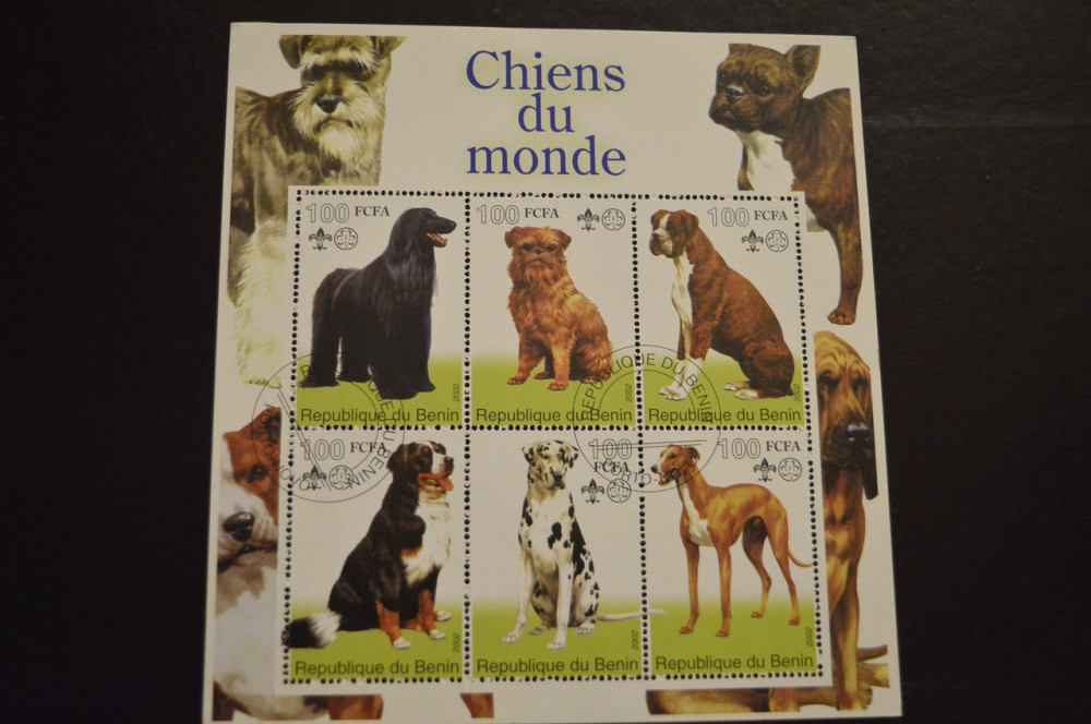 Бенін. Фауна. Тварини. 2002год Полтава - фото 1