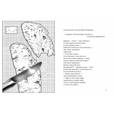 Книга Путівник по урвищу й околицях - Марина Пономаренко Видавництво Старого Лева (9789664484616) Вінниця - фото 2