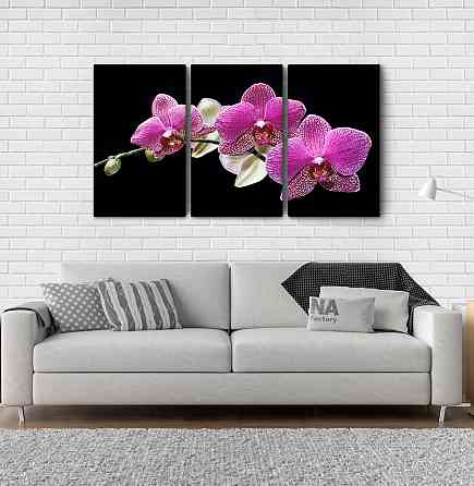Модульная картина Орхидея Аrt-133_3А Киев