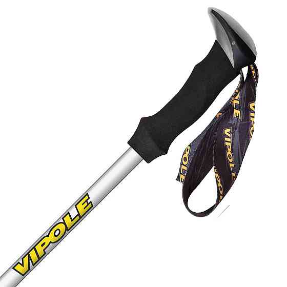 Палки трекинговые Vipole Wilderness AS (S25 19) Вінниця