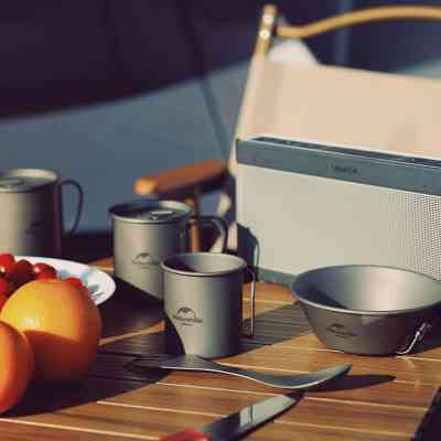 Чашка туристична Naturehike NH20CJ005 титанова з ручкою 300 мл (6927595745779) Вінниця