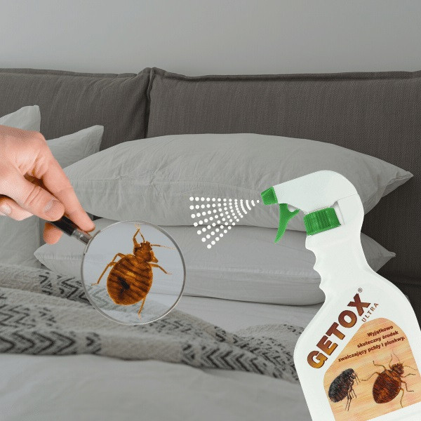 Спрей от клопов и других ползающих насекомых GETOX Ultra Днепр - изображение 4