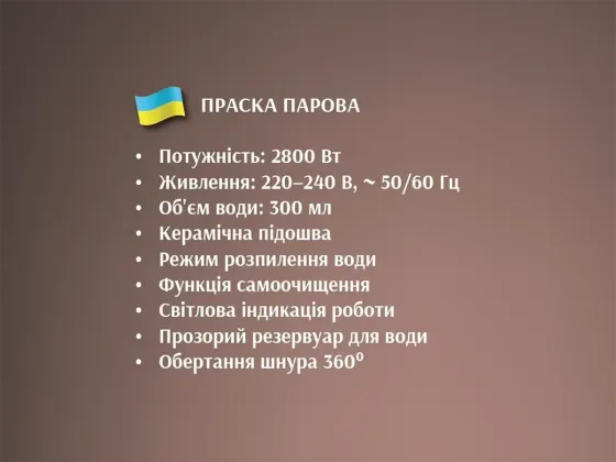 Праска парова BITEK BT-1256G: 2800 Вт, керамічна підошва - для бездоганного прасування Київ