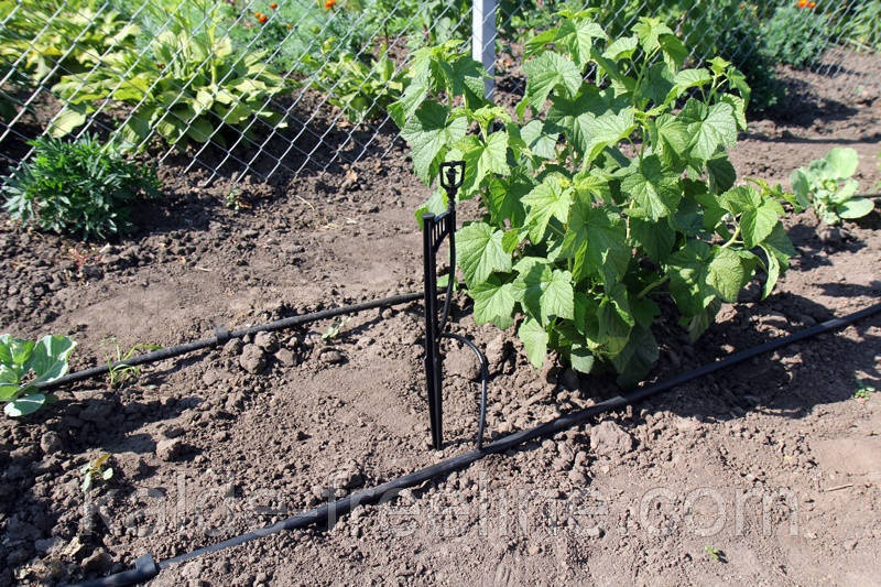 Крапельниця для поливу Presto-PS мікроджет Парасолька-В (MS-1101-В) Харьков - изображение 7