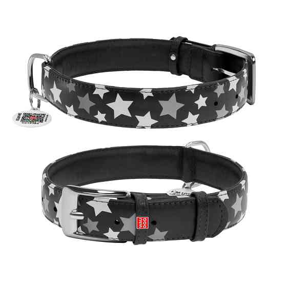 Нашийник для собак шкіряний WAUDOG Glamour з QR паспортом, візерунок "Зірочка", світлонакопичув Коломыя