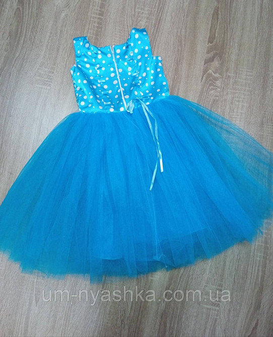 Пишне ошатне плаття в ретро стилі "Стиляги" Кривий Ріг - фото 5