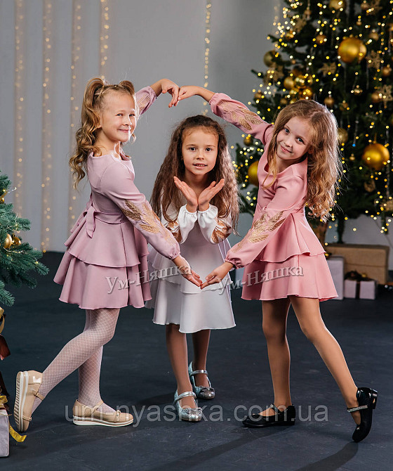 Дитяче плаття з вишивкою на рукавах Поділля-колоски Кривий Ріг - фото 11