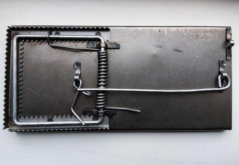 Щуроловка сталева велика потужна, щурівка Дніпро - фото 2