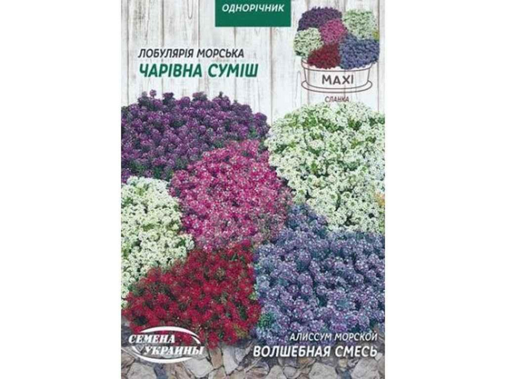 Макси Алиссум морской ВОЛШЕБНАЯ СМЕСЬ 2г (10 пачек) ТМ НАСИТАНИЕ УКРАИНЫ Киев - изображение 1