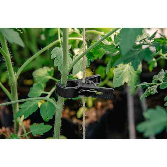 Зажимы для фиксации растений 20 мм, 10 шт, BLACK, TYK20BK/10 Киев