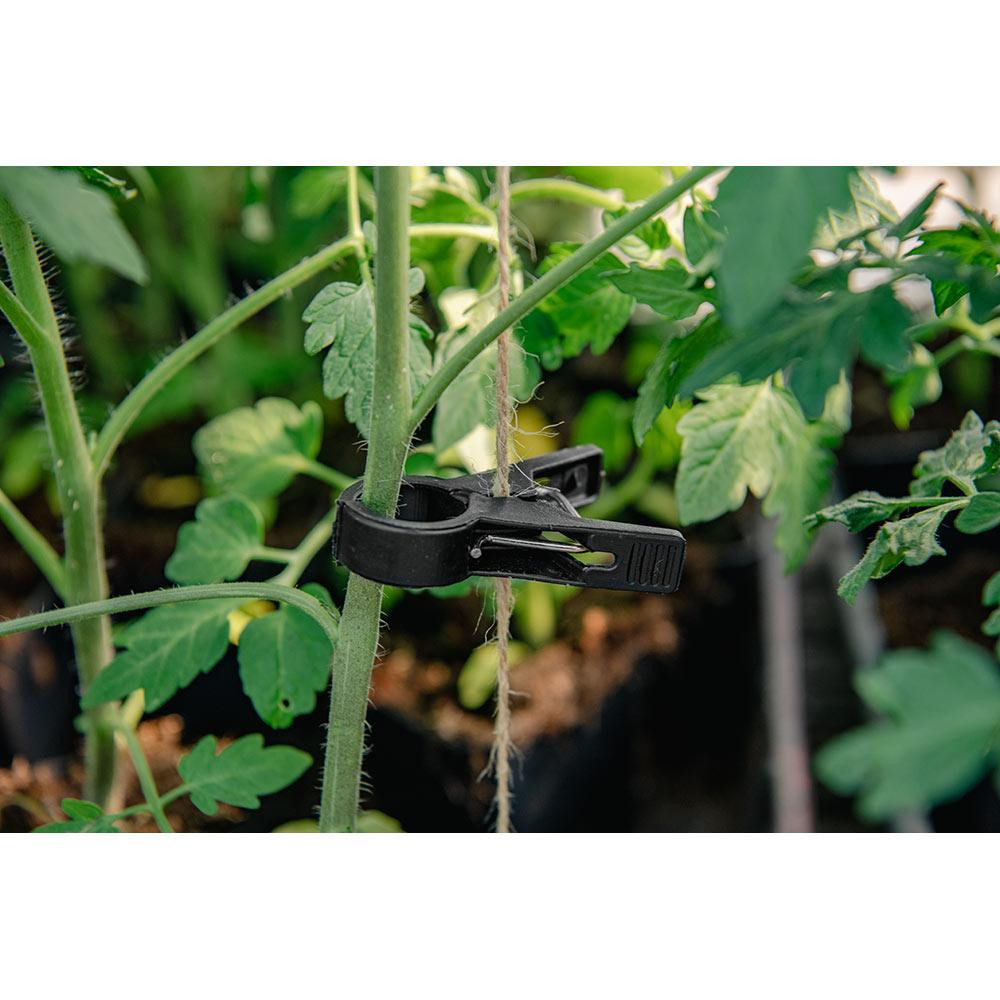 Зажимы для фиксации растений 20 мм, 10 шт, BLACK, TYK20BK/10 Киев - изображение 3
