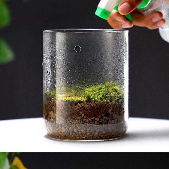 Емкость для флрариума, мосариума, бонсай 1.55 л 15 х 11 см Одесса