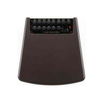 Комбоусилитель Ibanez Troubadour T80II (227262) Винница