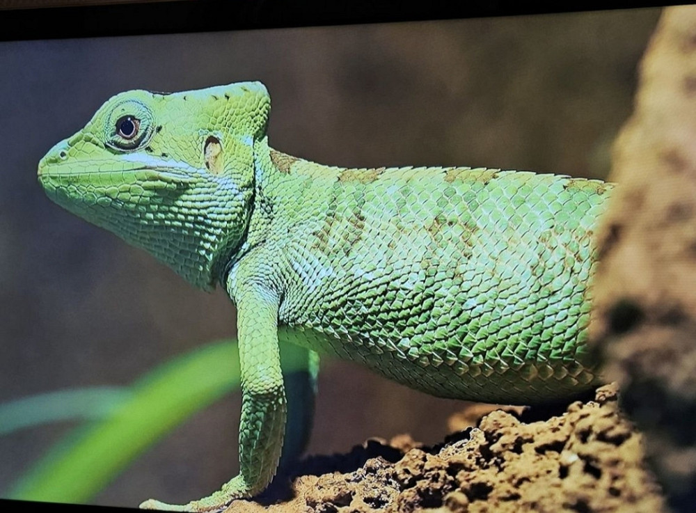 Телевизор Samsung 37 Дюйма. Харьков - изображение 8