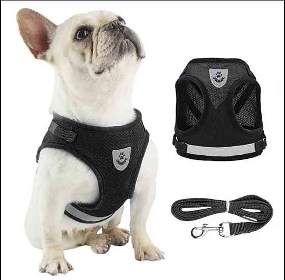 Шлея со светоотражателем для собачек и кошек с поводком тканевая в сеточку М черный Киев