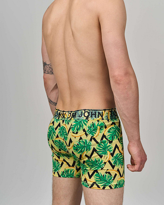 Боксери чоловічі Tom John - Листя 2200-9 XXL Київ - фото 3