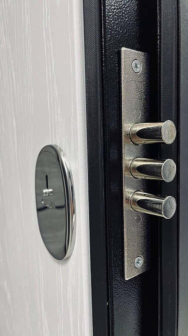 Вхідні двері ТАРІМУС Дверна Індустрія "Надійна" 960 Київ - фото 10