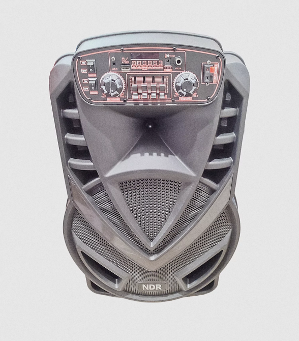 Беспроводная уличная Bluetooth колонка NDR-V15 1500Вт (динамик 40 Вт) 15 дюймов Киев - изображение 6