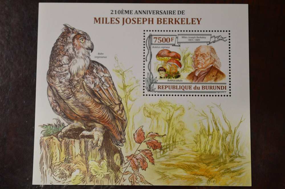 Бурунді. Марки. Блок. (А-39) Полтава - фото 1