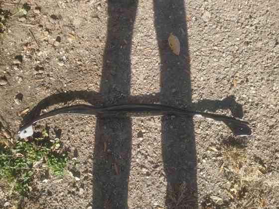 68103088AA Уплотнитель крыла дверь-крыло передний правый Коломыя