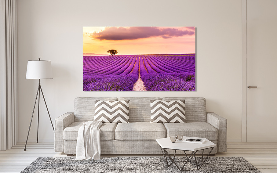 Картина холст в гостиную / спальню  Поле Лаванди   MLP_321 60x100 см Киев - изображение 2