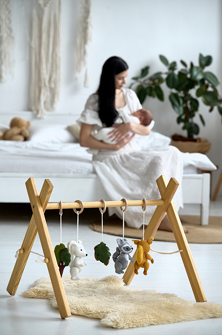 Детский тренажер WoollyFox 